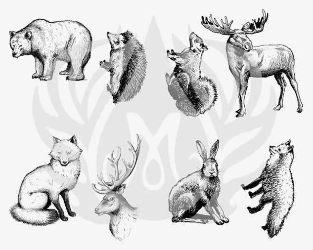 Silkscreen Schablone Woodland Animals