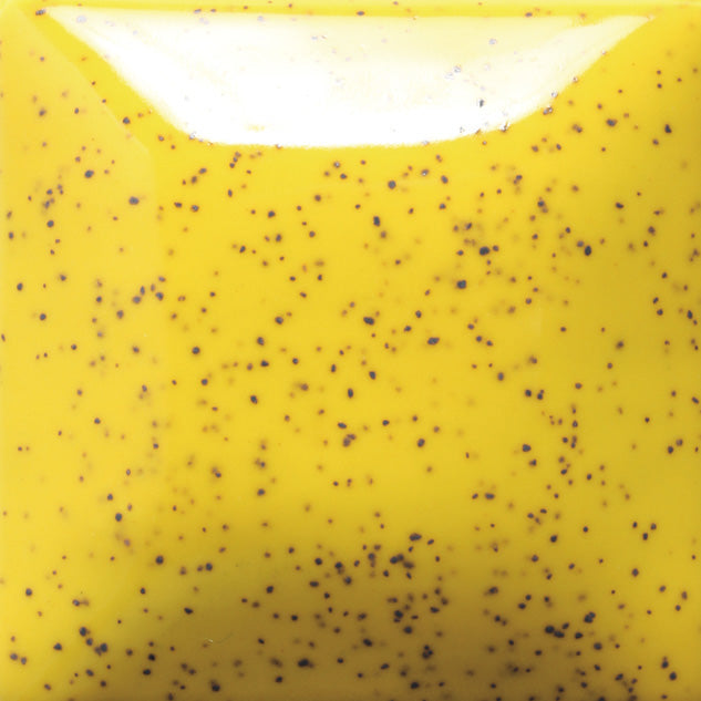 Speckled Sunkissed #206